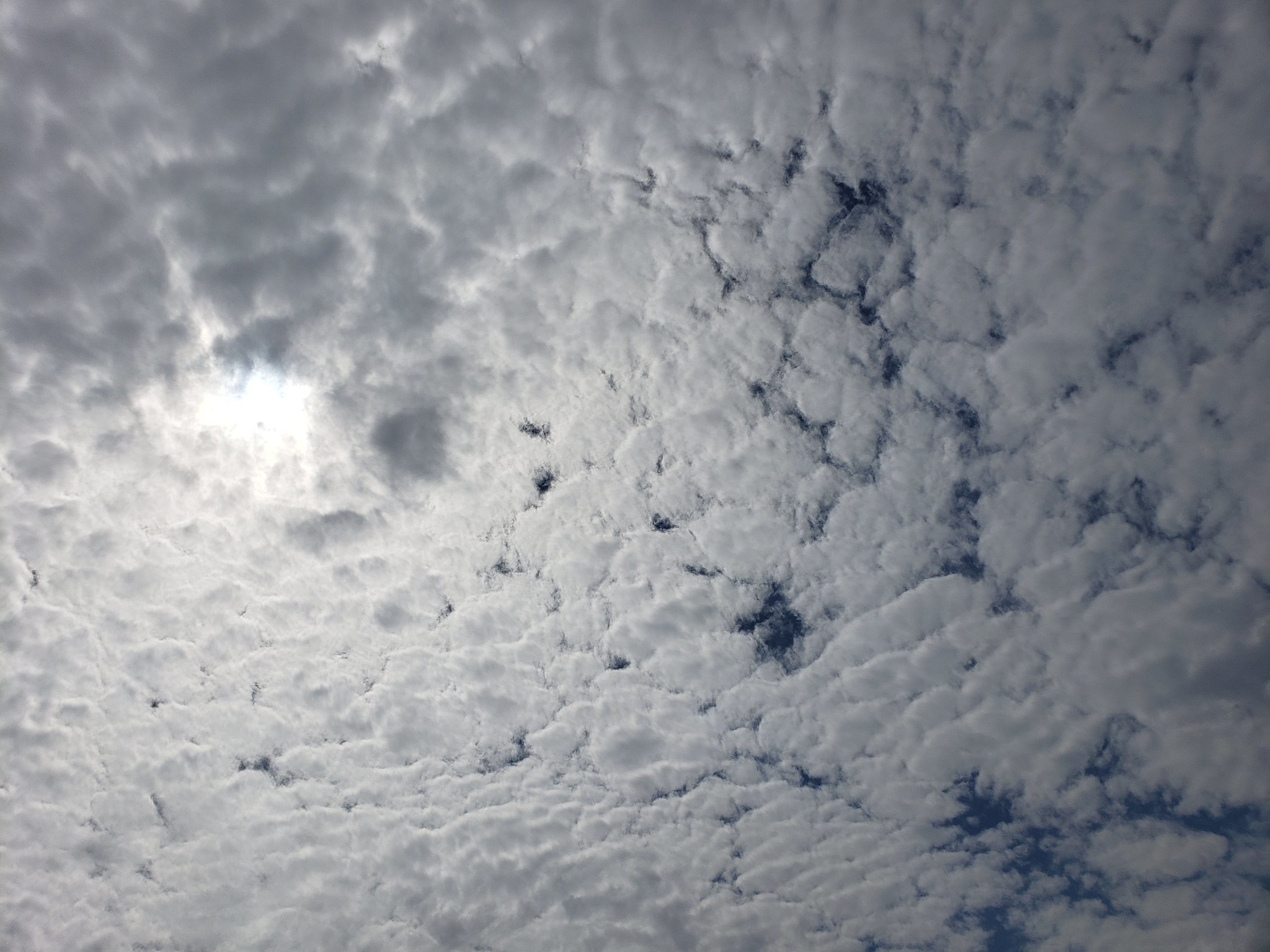 Monterey Bay pelagic sky (9/11/2022).